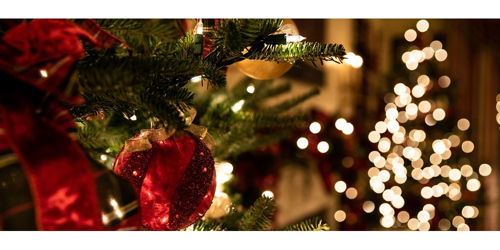 Grandmother with her grandchildren in front of the christmas tree