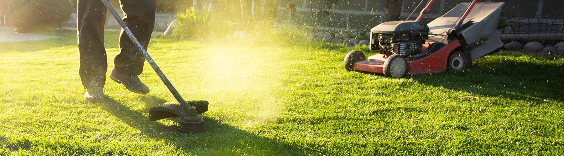 Young man moving lawn