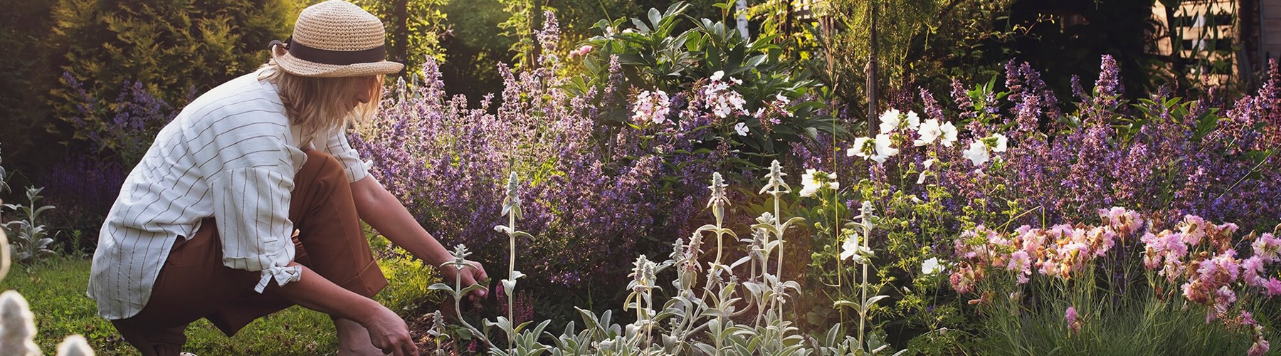 Woman gardening in the sun