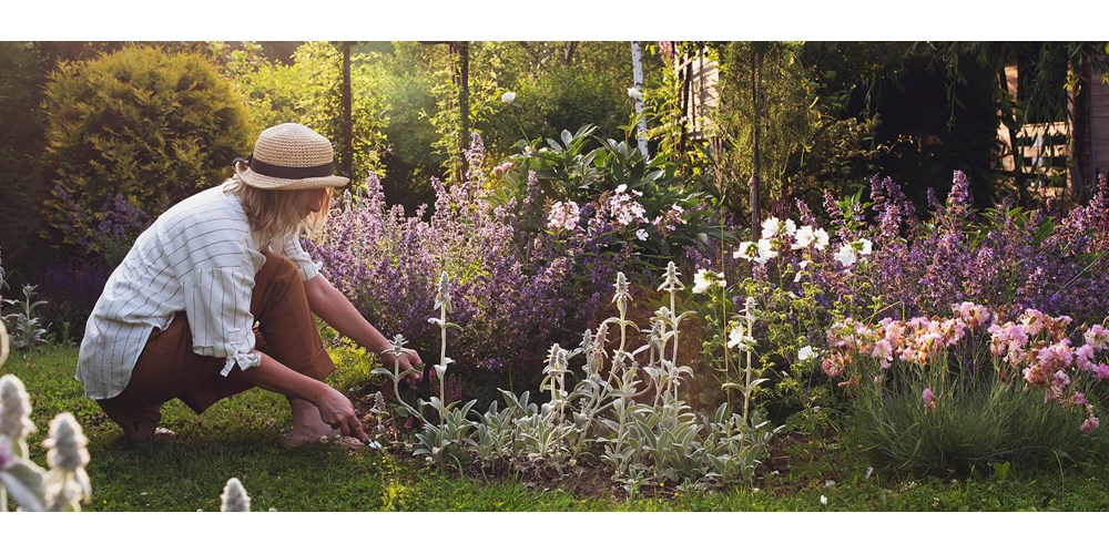 Woman gardening in the sun