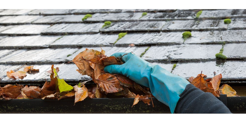 Clearing autumn gutter blocked with leaves by hand