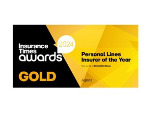Insurance Times Awards  - Gold award - 2024 logo