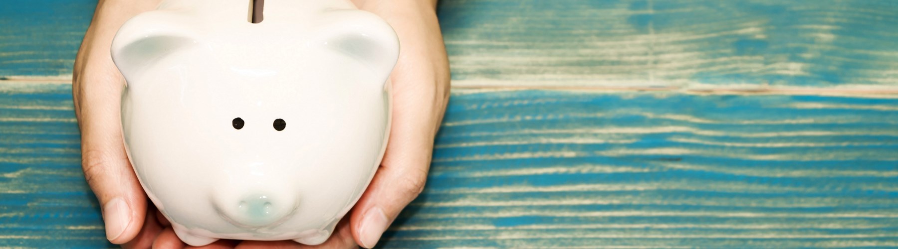 Piggy saver in a woman's hand