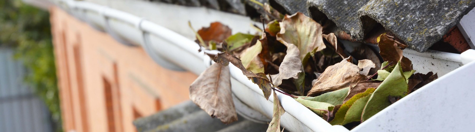 Leaves in a gutter