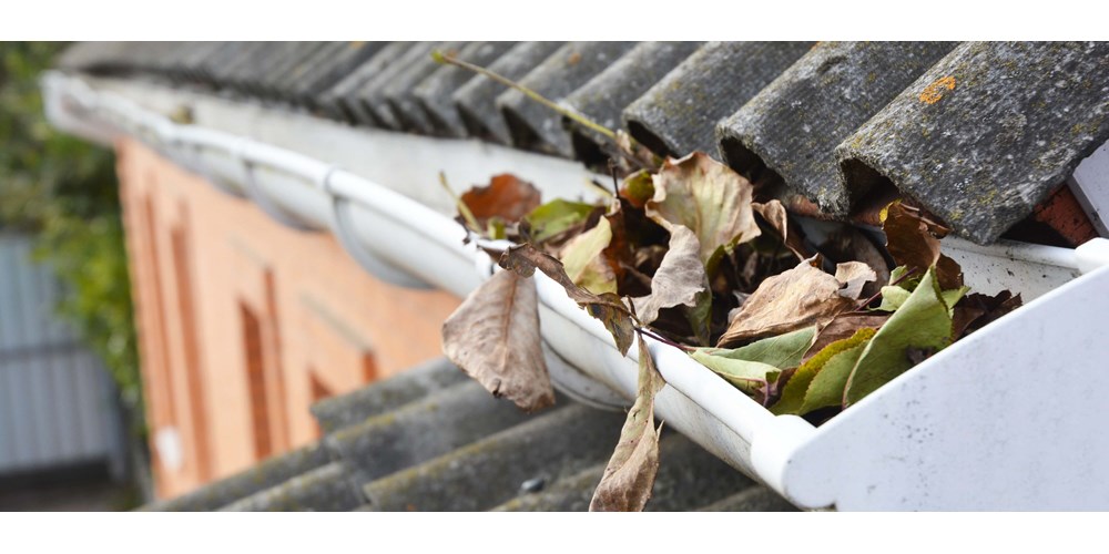 Leaves in a gutter