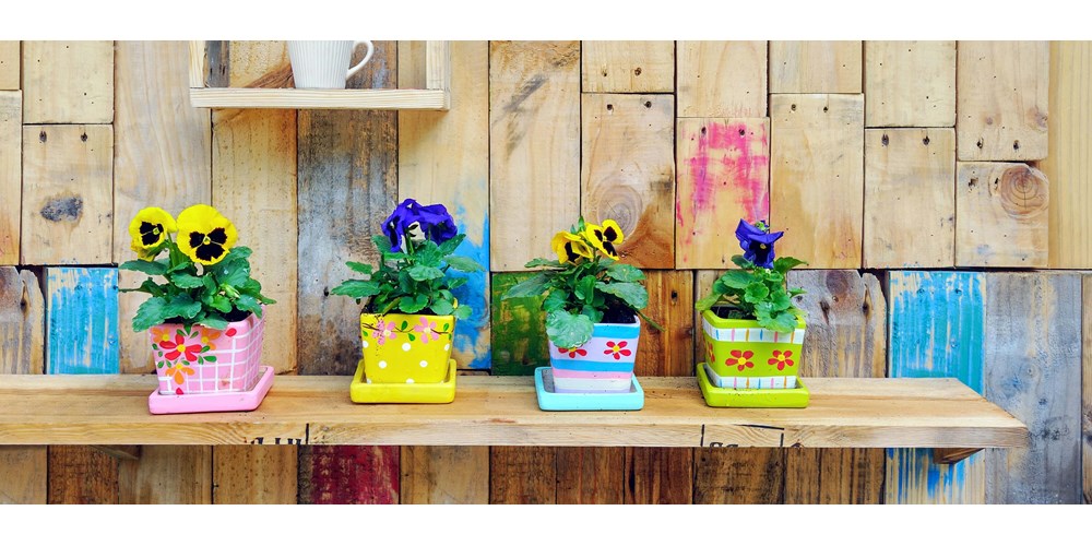 Painted pots with plants in