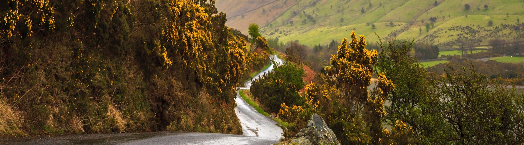 Narrow winding road through green hills