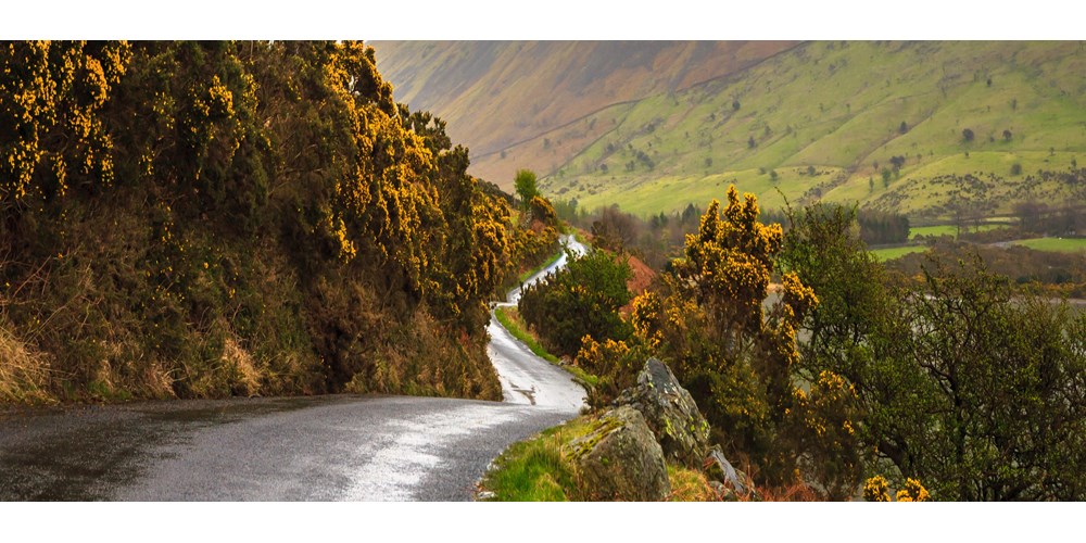 Narrow winding road through green hills