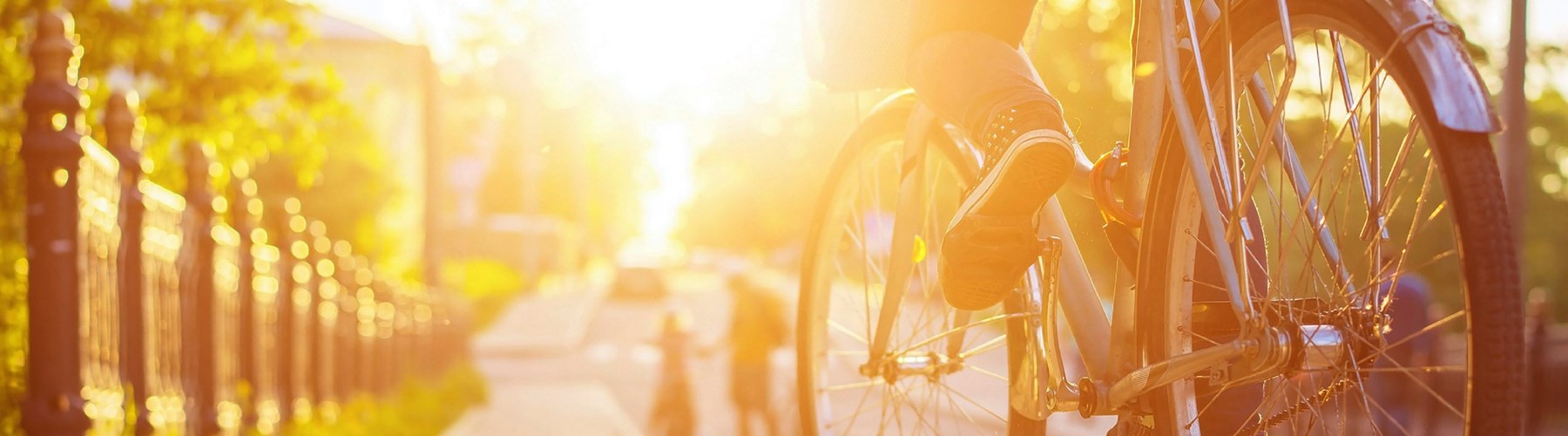Bicycle on pathway in the sunshine