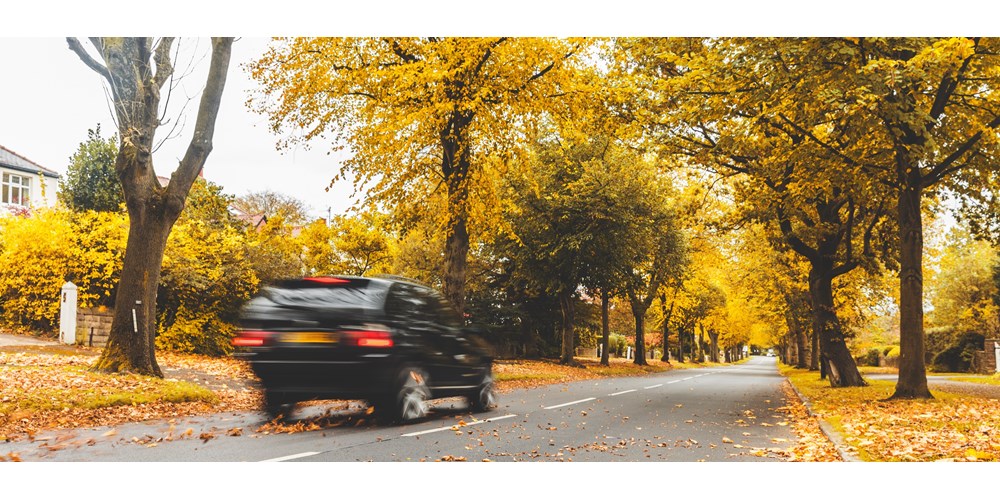 Black car driving in autumn