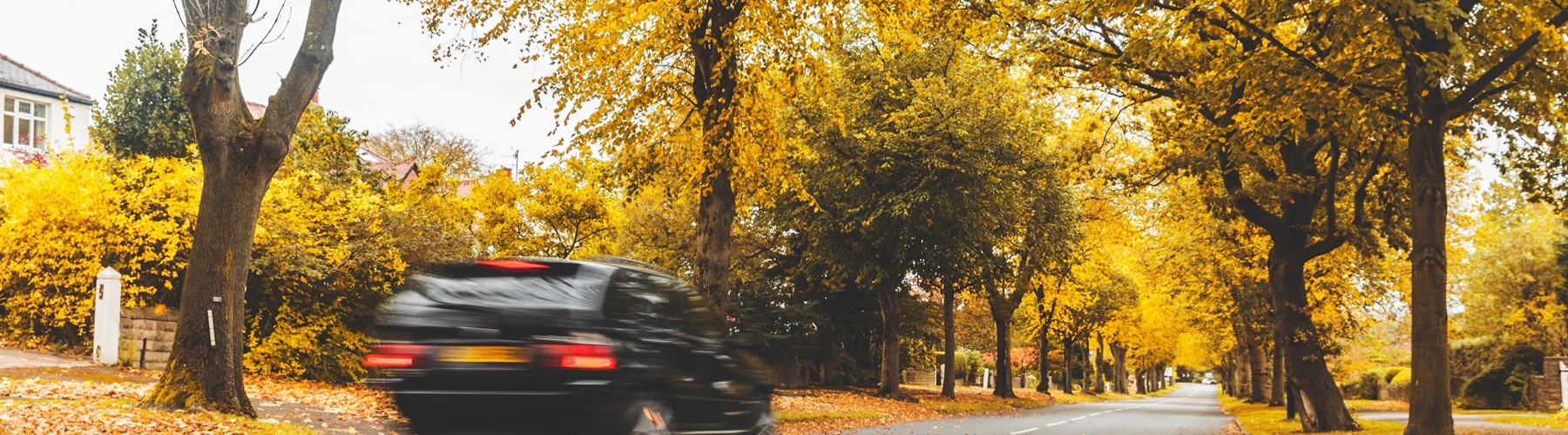 Black car driving in autumn
