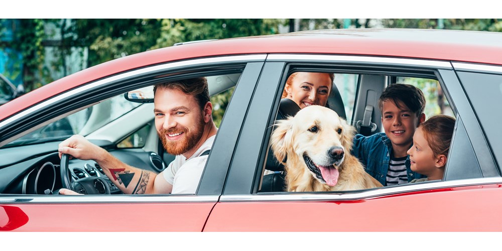 family and dog in red car 