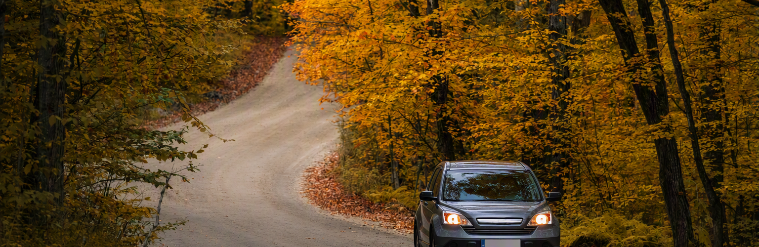 Silver car driving in autumn