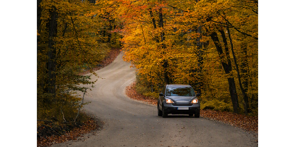Silver car driving in autumn